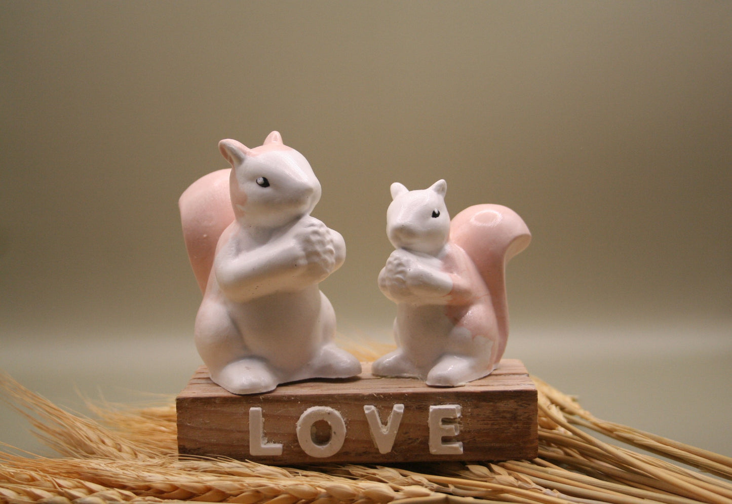 Duo d'amour d'écureuil love