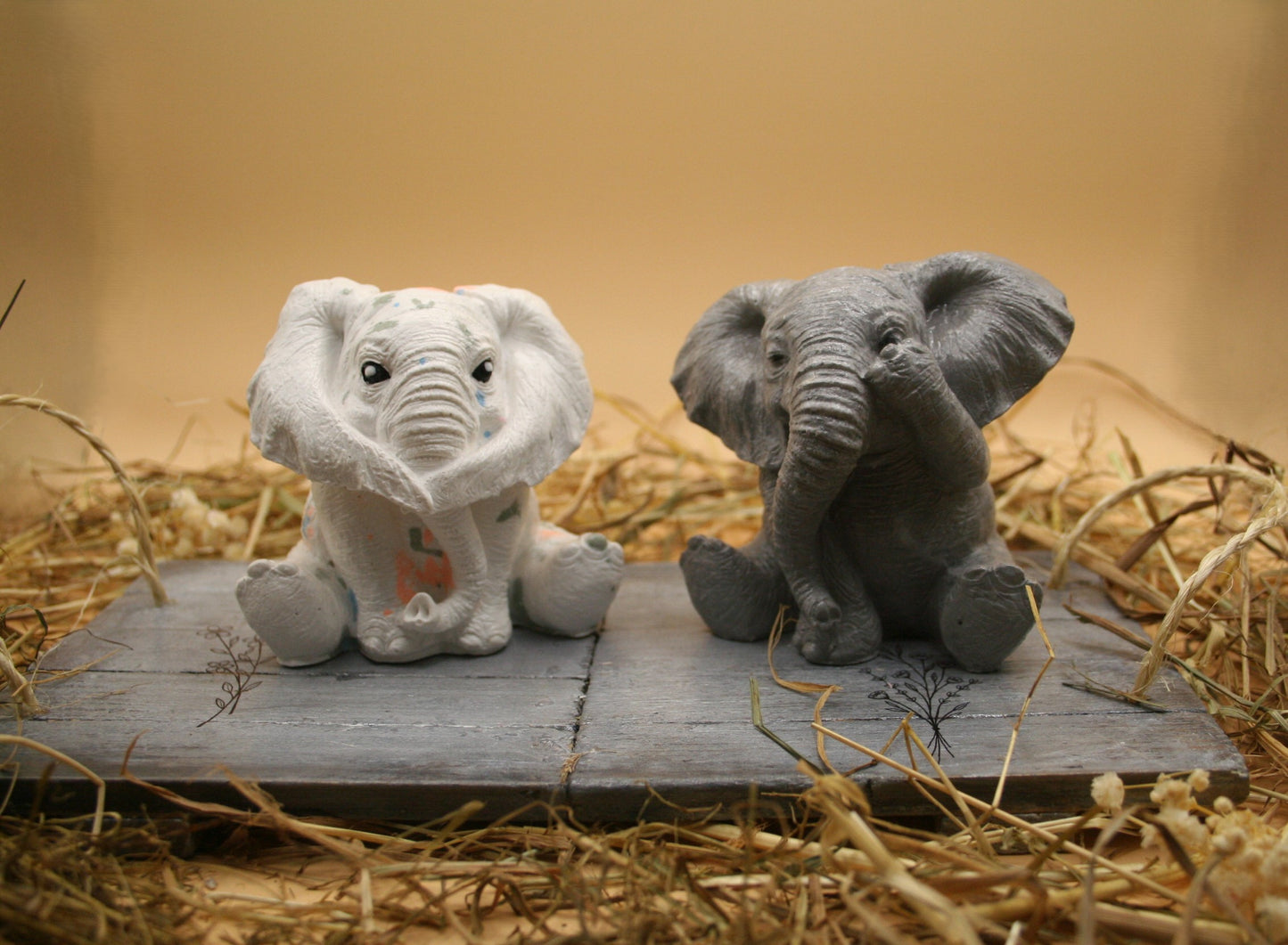 Echo d'éléphants