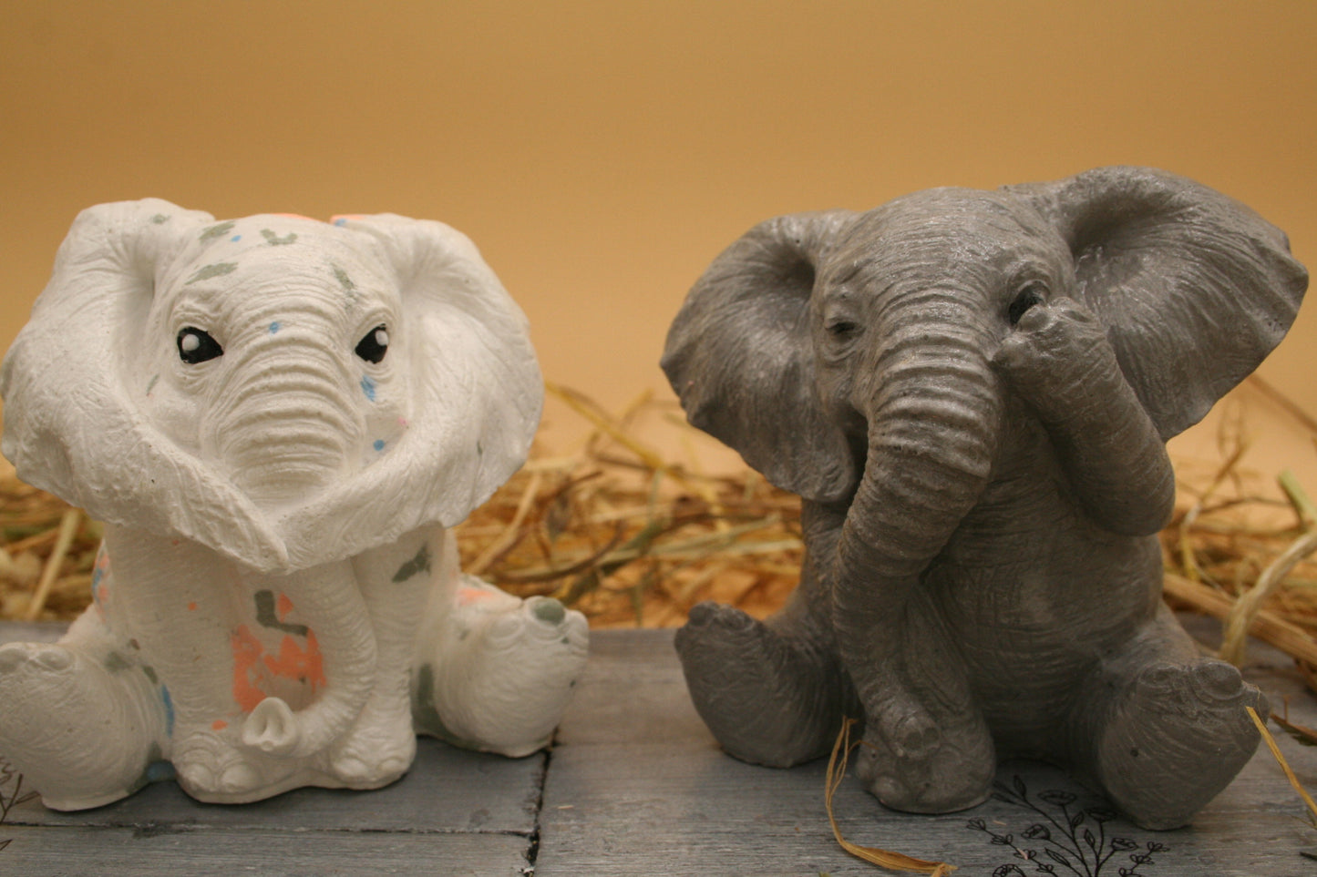Echo d'éléphants
