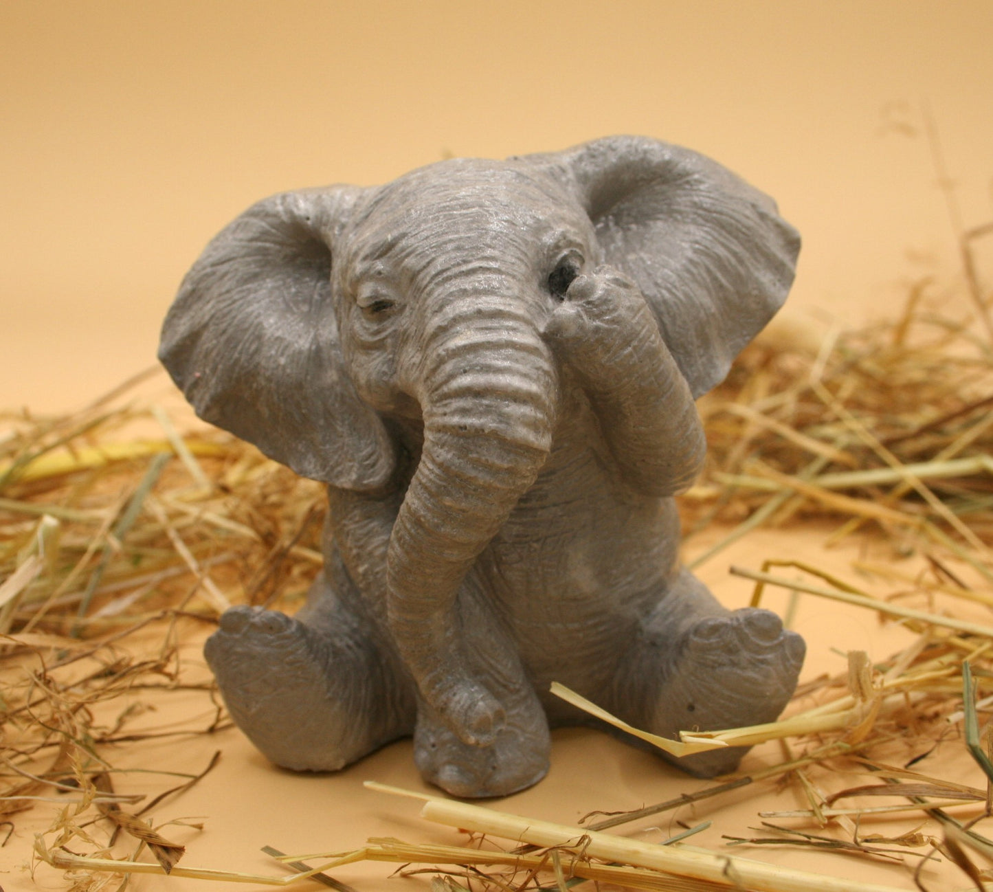 Echo d'éléphants