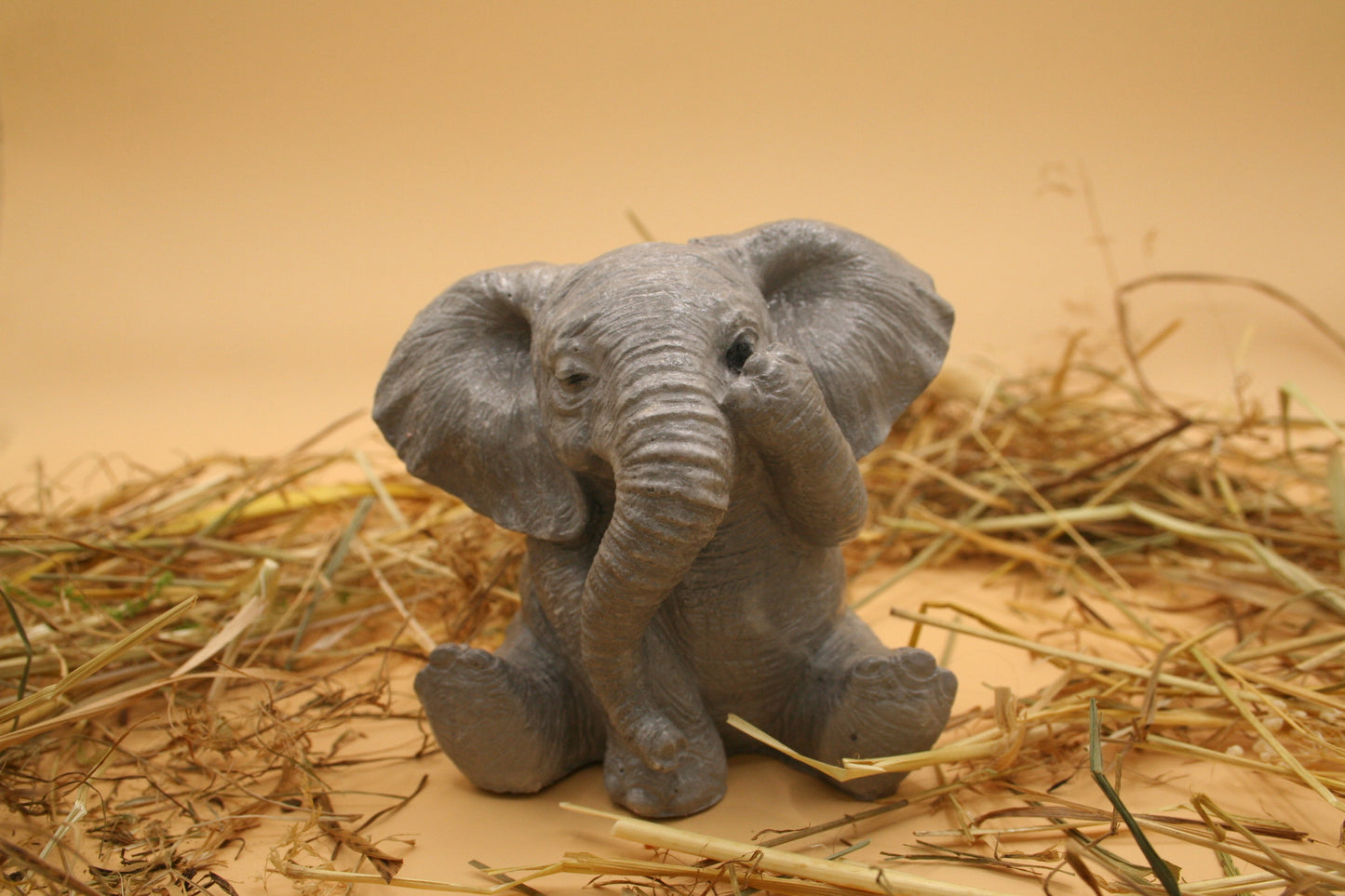 Echo d'éléphants