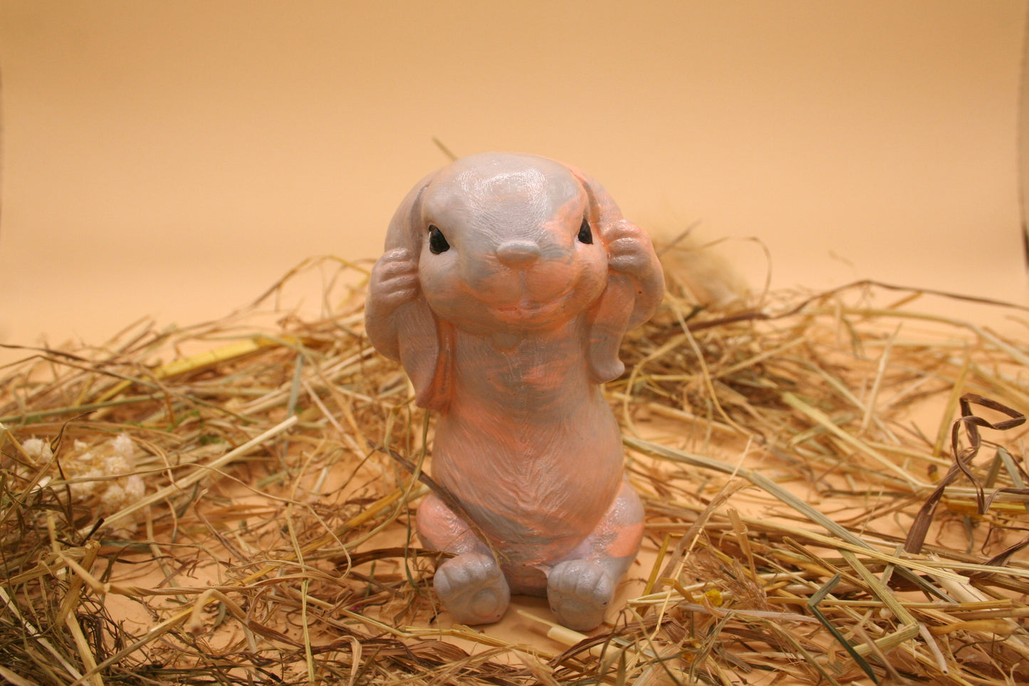 Lapin Timide