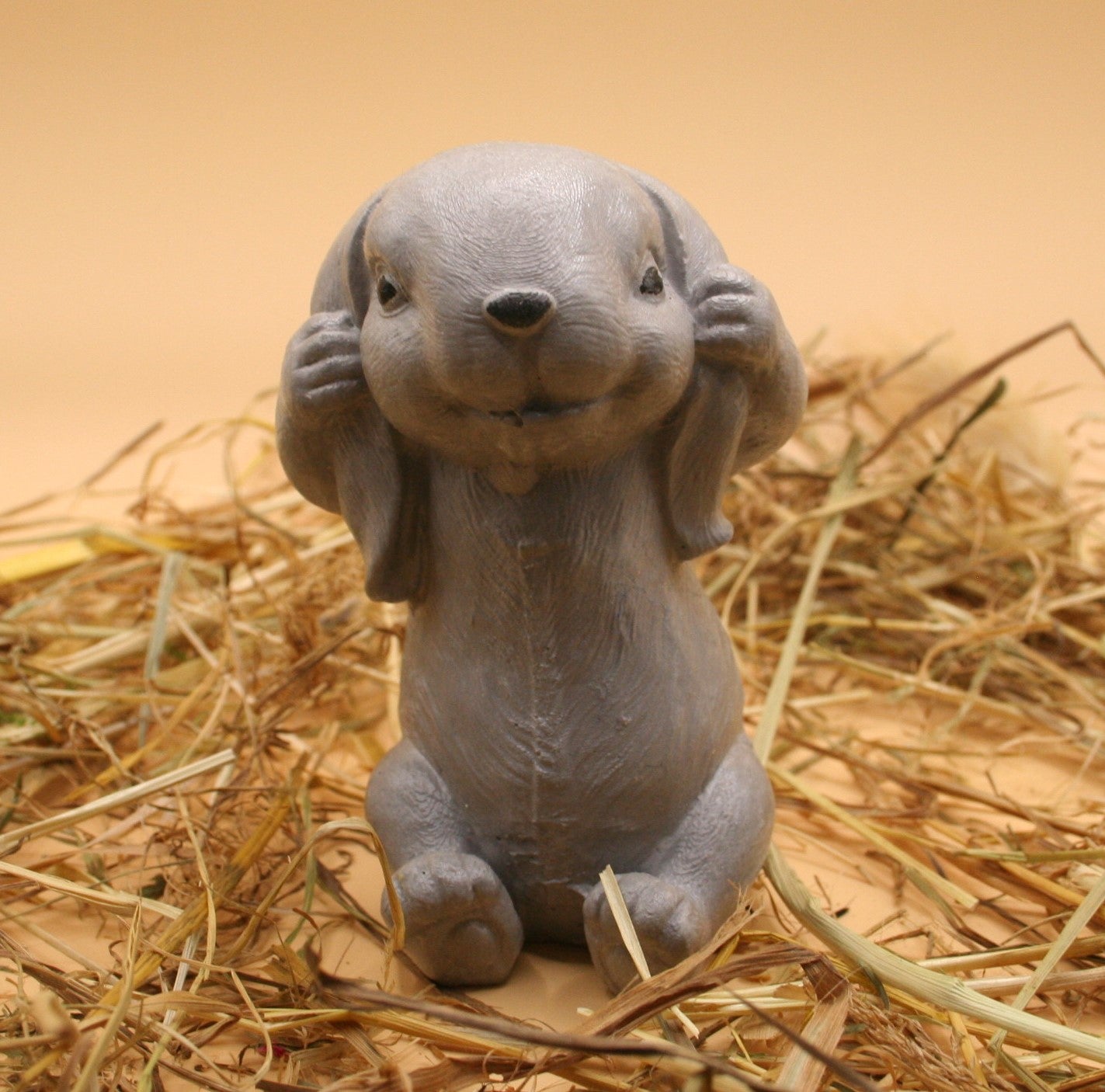 Lapin Timide