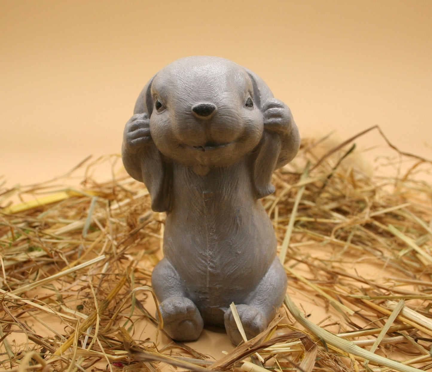 Lapin Timide