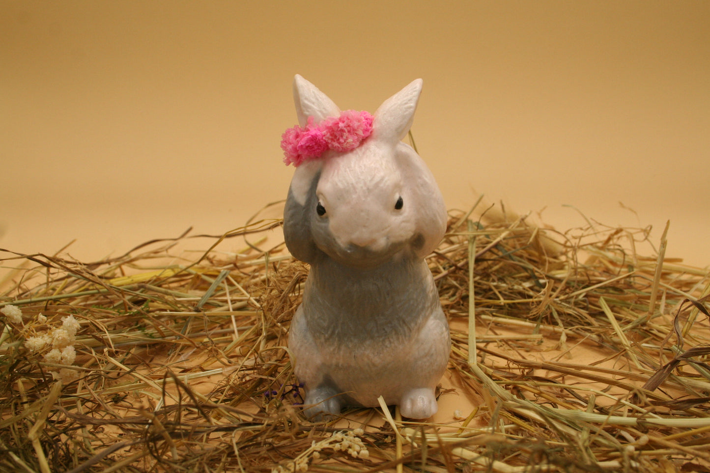 Lapin des Prés