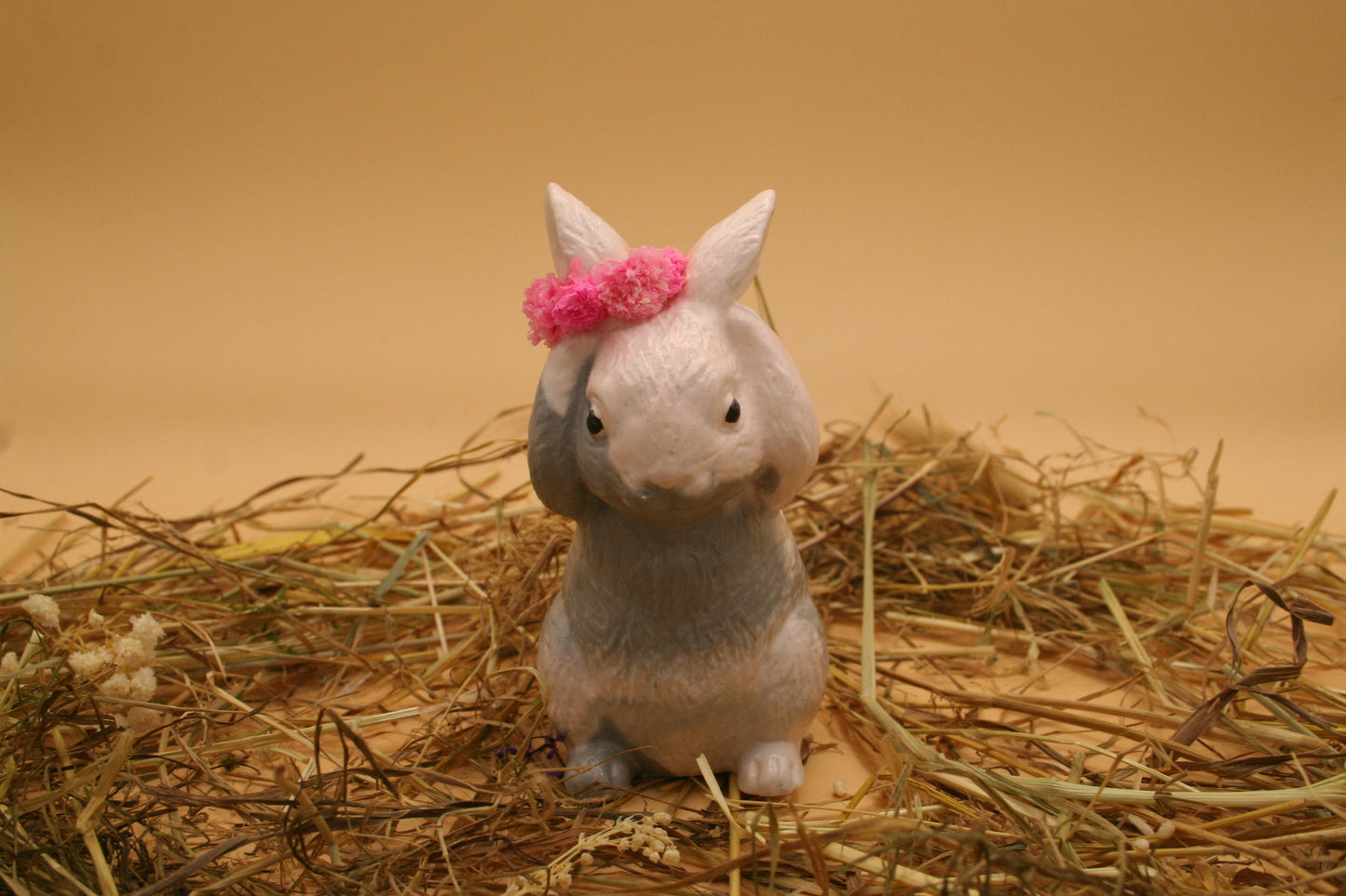 Lapin des Prés