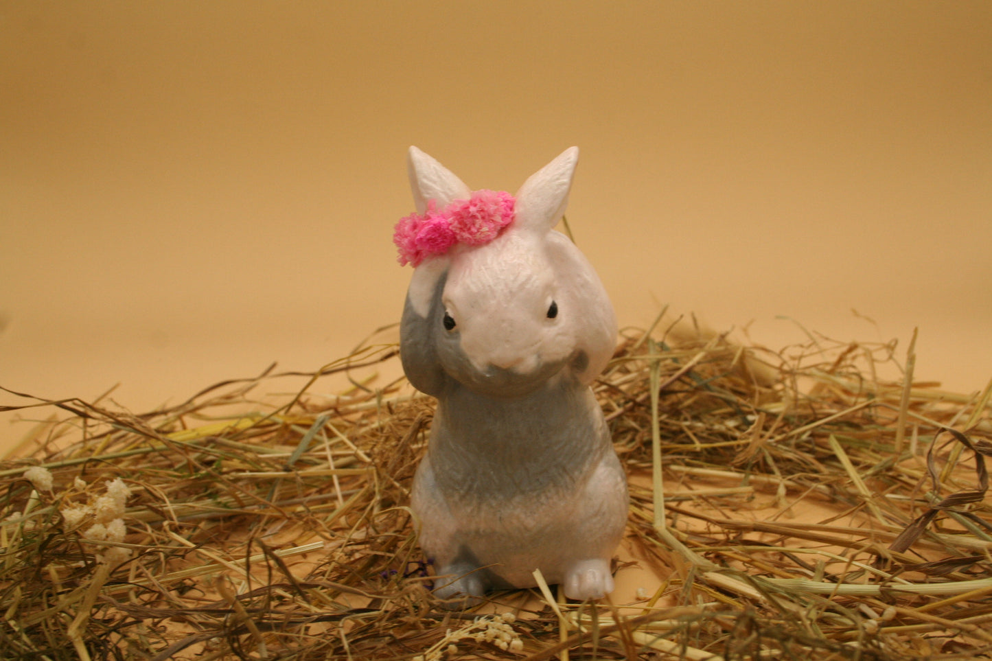 Lapin des Prés