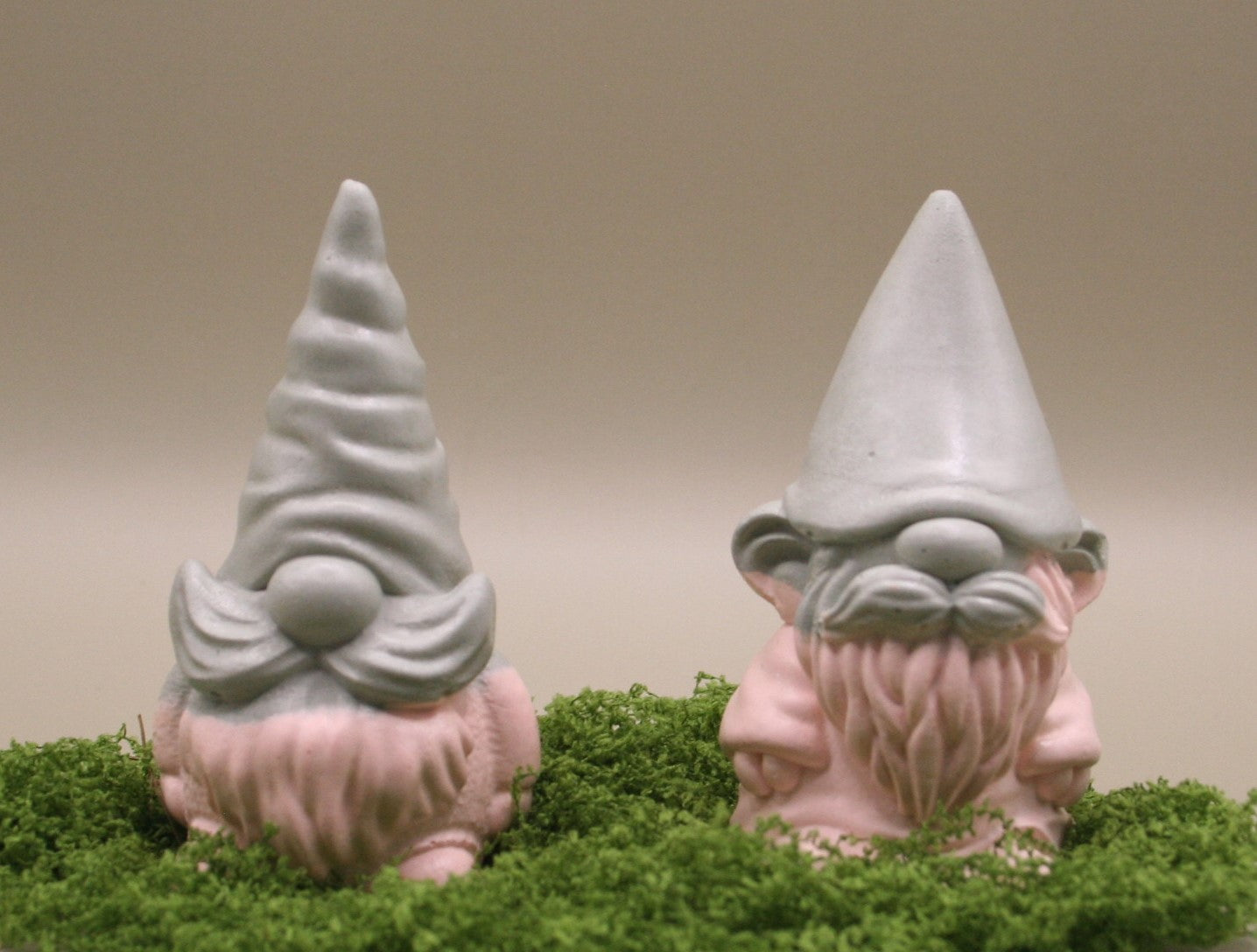 Gnomes enchantés