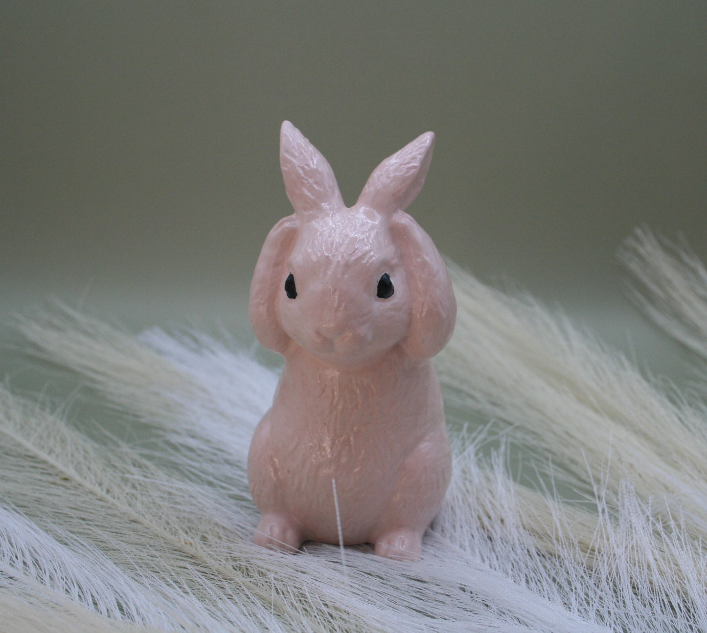 Lapin des Prés
