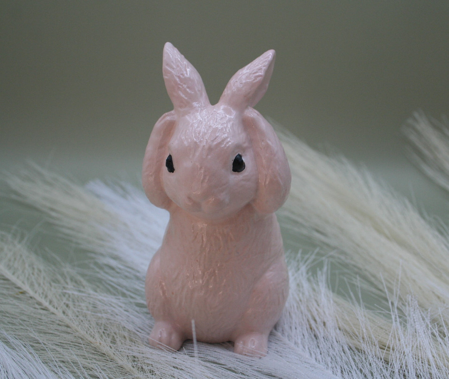 Lapin des Prés