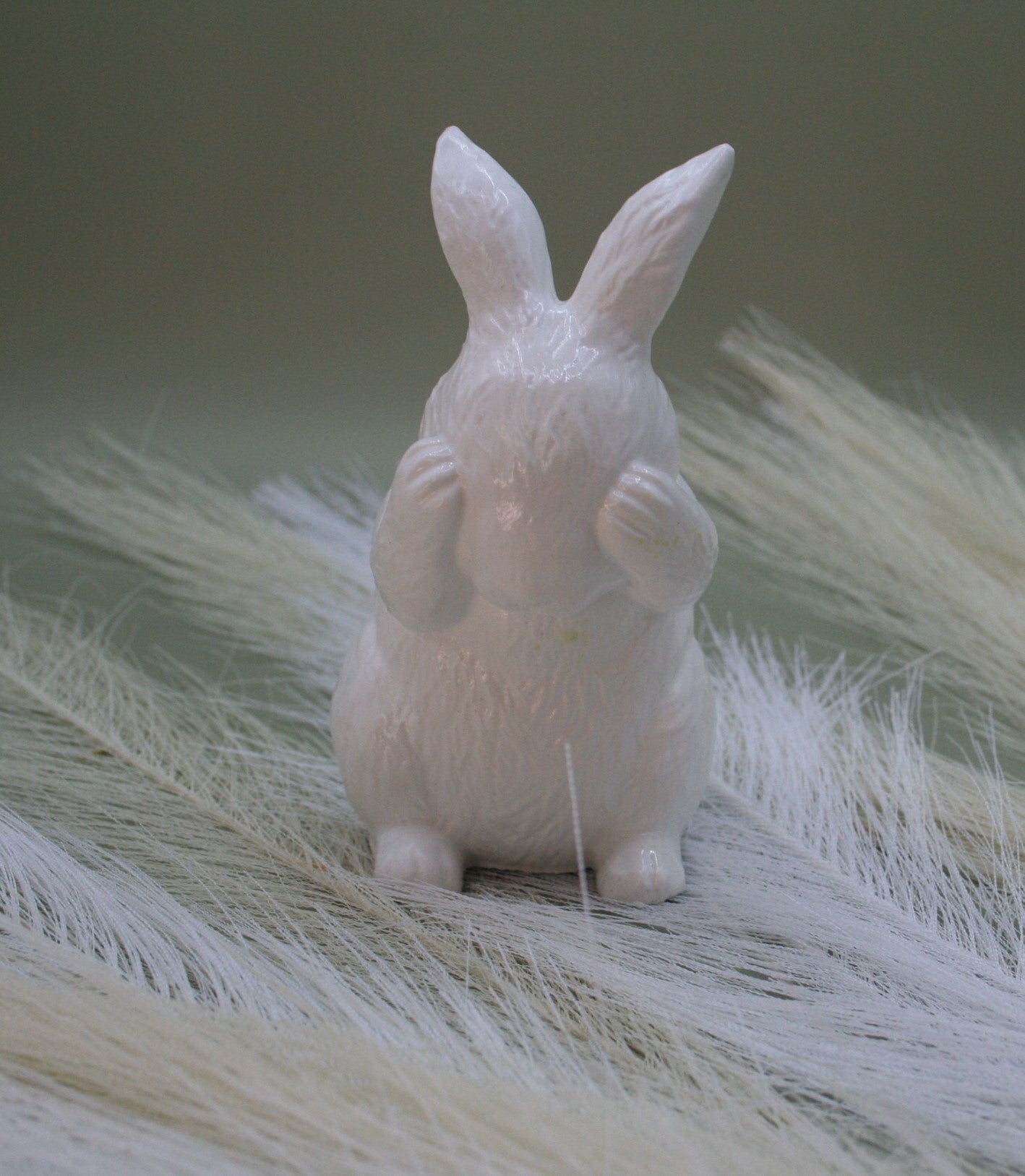 Lapin cache-coeur