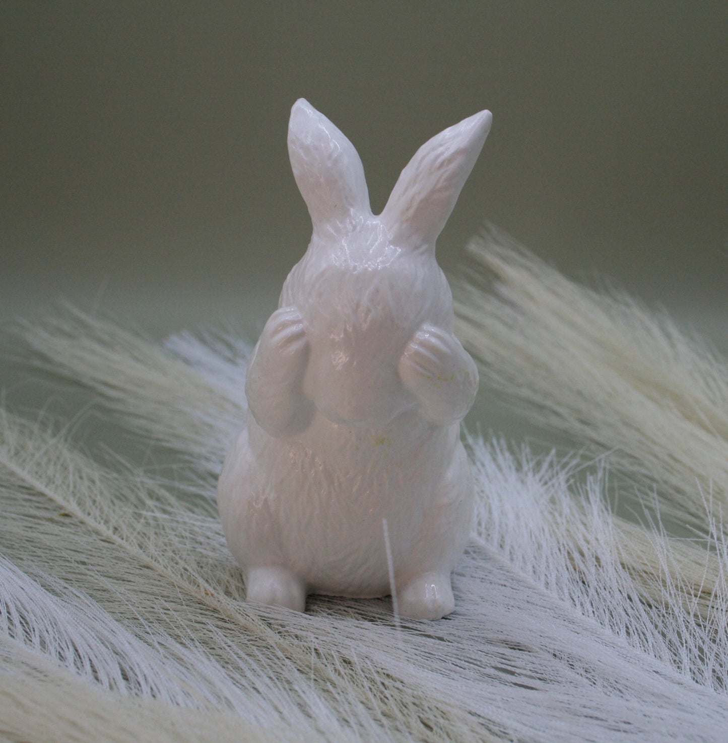 Lapin cache-coeur
