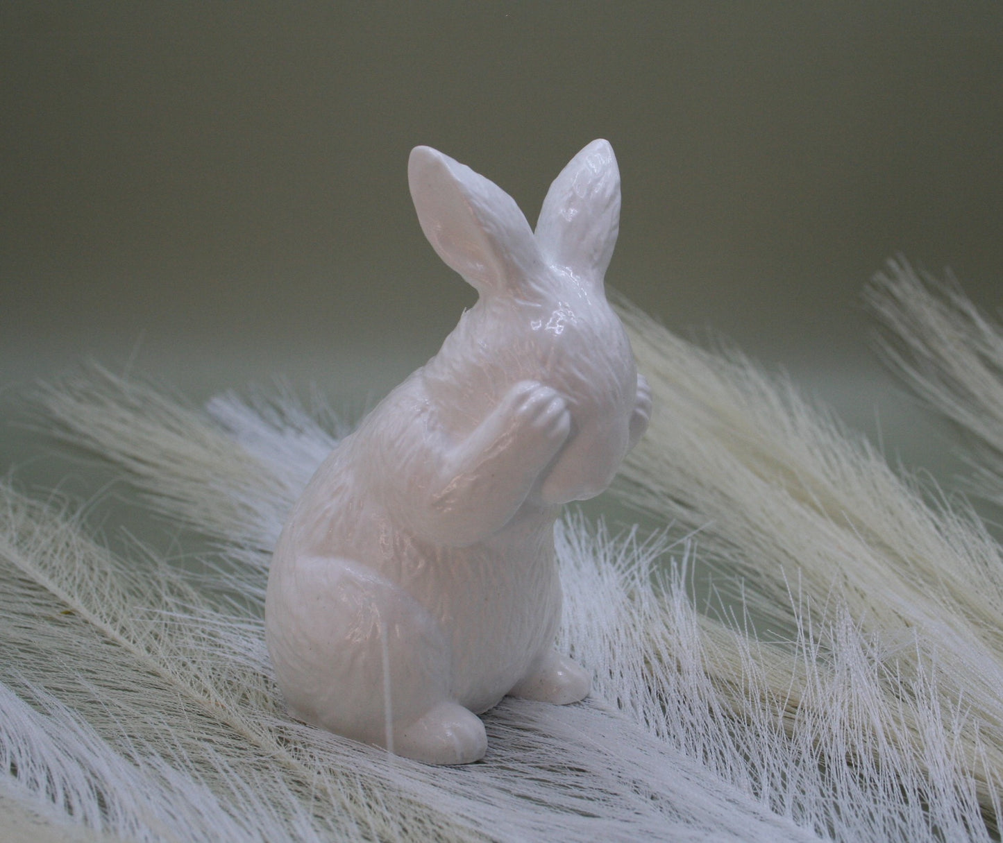 Lapin cache-coeur