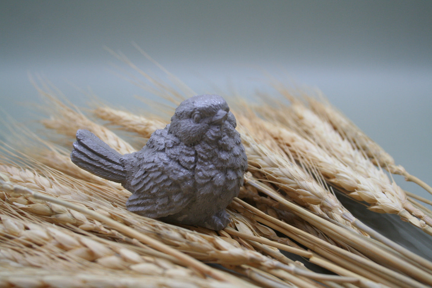 Plume d'Âme