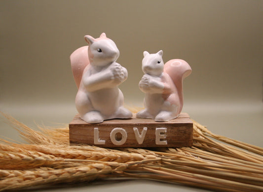 Duo d'amour d'écureuil love