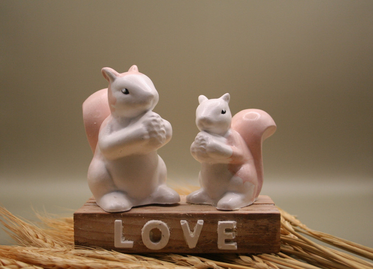 Duo d'amour d'écureuil love