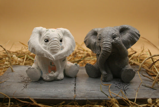 Echo d'éléphants