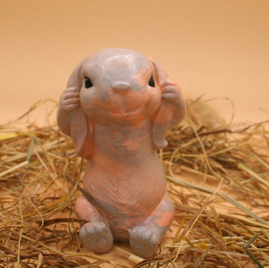 Lapin Timide