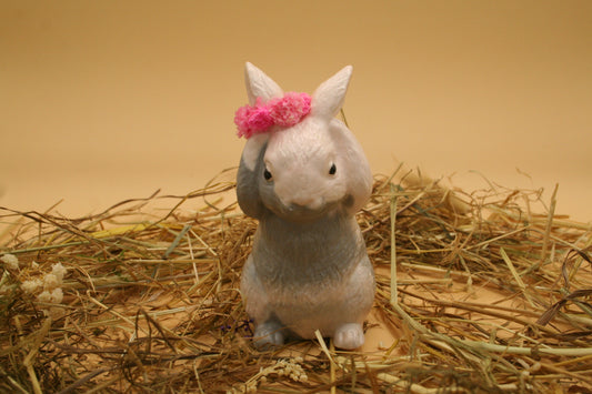 Lapin des Prés
