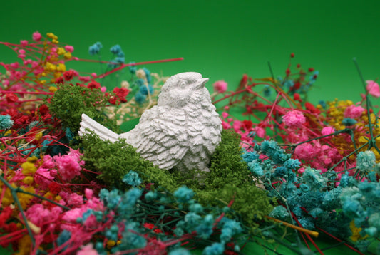 Plume d'Âme
