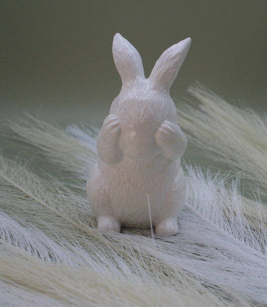 Lapin cache-coeur