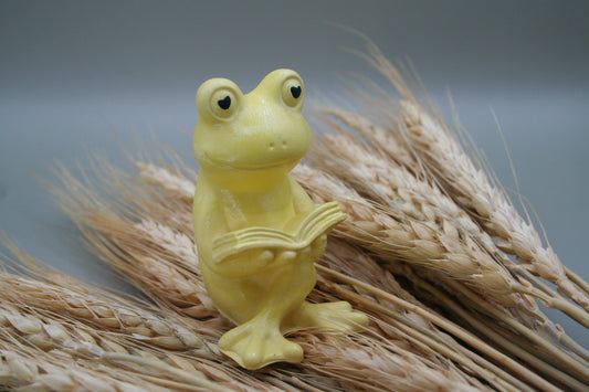 La grenouille curieuse