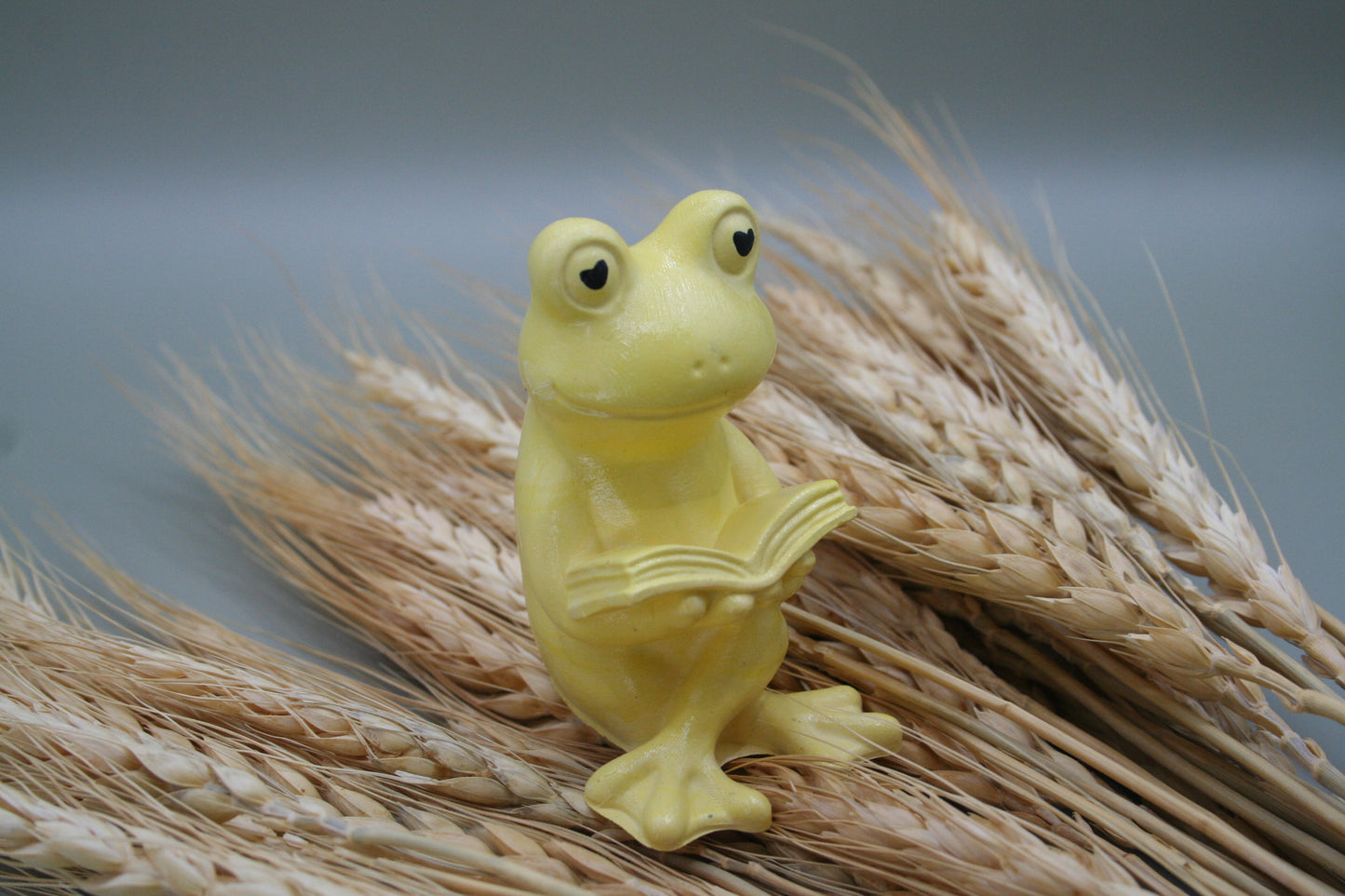 La grenouille curieuse